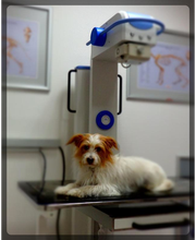 Winking, Tamara Bild 7