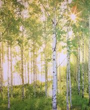 LivingHands GmbH Ganzheitliche Therapien im Seetal Bild 4