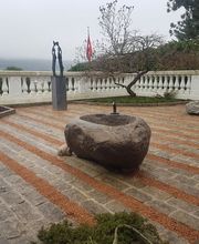 Nyhof Gartenbau AG Bild 6