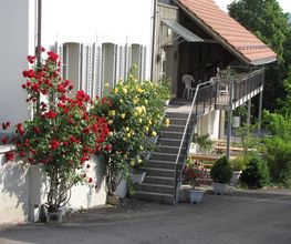 Institut apk Bild 7