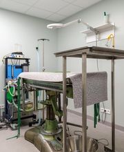 Clinique Vétérinaire de Chanzy image 18