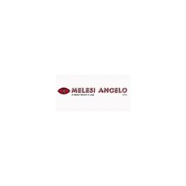 Melesi Angelo Snc di Melesi Silvano & C logo