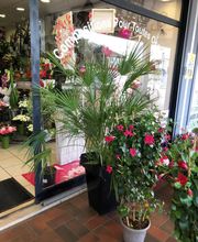 Fleurs d'Amandine image 5