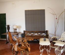 viveros-las-palmeras-1.jpg