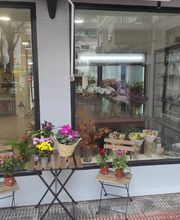 Las Flores de Carlos imagen 3