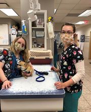 West Park Animal Hospital image 8