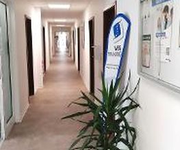 Heller, sauberer Flur im Schulgebäude. Auf der rechten Seite hängt ein Informationsbrett an der Wand und davor steht eine grüne Zimmerpflanze.