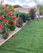 BEJ ESPACE VERT image 2