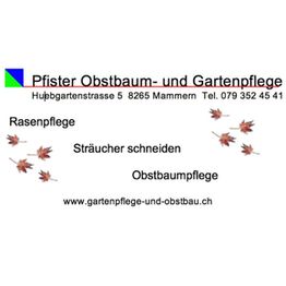 Pfister Obstbaum- und Gartenpflege