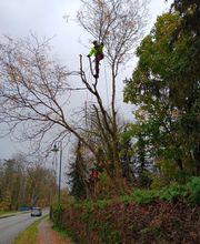 WhatsApp Bild 2025-03-31 um 09.47.08_1437281a.jpg