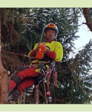 Fr. Oberurseler Forstdienstleistungen e. K. Bild 3