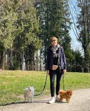 A-Z-Hundetraining Bild 3