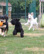 Village Canin le Grand l'Ilot image 13