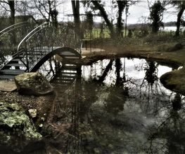 Home & Garden Services Bild 6