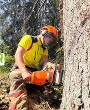 Forst- und Gartenservice Roller Bild 12