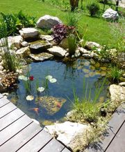 Scenes de Jardin image 20