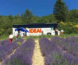 IDEAL REISEN - unterwegs mit netten Menschen Bild 13