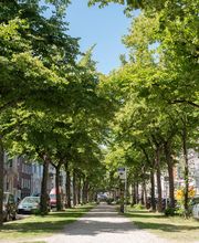 Dr. Lindemann Dr. Müller Rechtsanwälte & Fachanwälte Bild 6