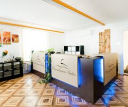 Manualpraxis Vitalis GmbH Bild 1