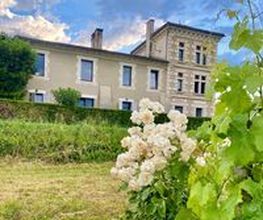 Château Barrabaque image 4