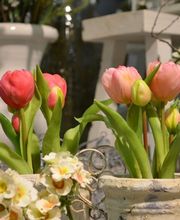Deko Florale -Outlet- Bild 4