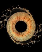 Studio Lichtwert Bild 7