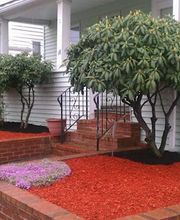 MAS Landscaping & Snow Removal image 16
