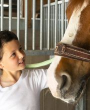 Manège et Poney Club de Presinge Bild 7
