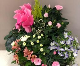 Amicie Fleurs image 6