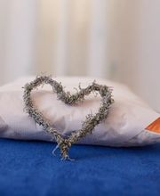 Praxis für Gesundheit | Craniosacral Therapie und Naturheilkunde TEN | Wohlgenannt Isabelle Bild 7