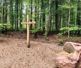 FriedWald Wiesenbach Bild 3
