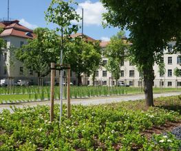 Polizeidirektion Dresden 1