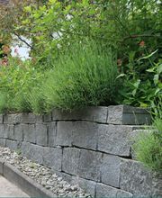 Gartengestaltung Patrick Müller GmbH Bild 10