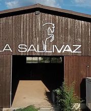 Manège de la Sallivaz & Poney club Bild 9