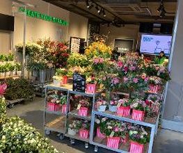 BLUME2000 Rosenheim Bild 8