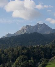 generation y GmbH Bild 13