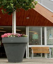 Aalsmeer Welkoop