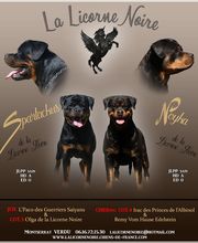 La Licorne Noire image 8
