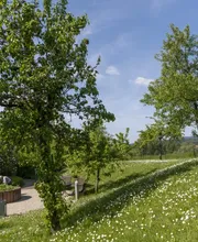 Haus Curanum Bessenbach Bild 4