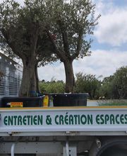 Le Jardin De Mes Reves Conan image 16