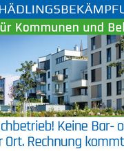 Klavier Zähringer Bild 6