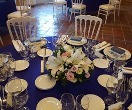 Fayence Fleurs image 12