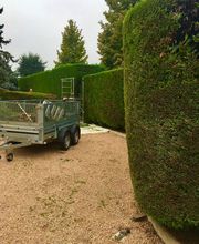 Brian Gibbs image 15