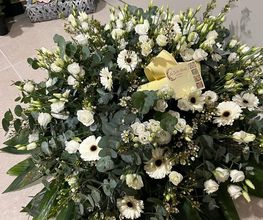 Gros lierre fleurs image 2