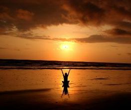 Elysia Serenity Bild 1