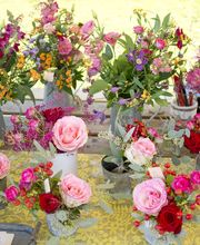 Bloembinderij Veronica