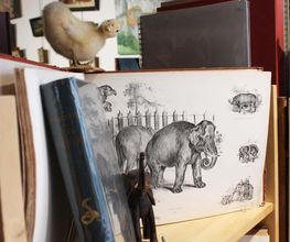 La Librairie Bourbonnaise image 5