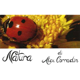 Natura logo