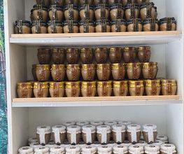 DELICIAS DEL BOSQUE imagen 5