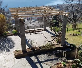 BaumGärtner - Giardini Bild 7